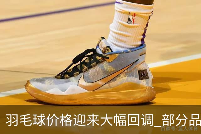 羽毛球价格迎来大幅回调 部分品牌降幅高达30%